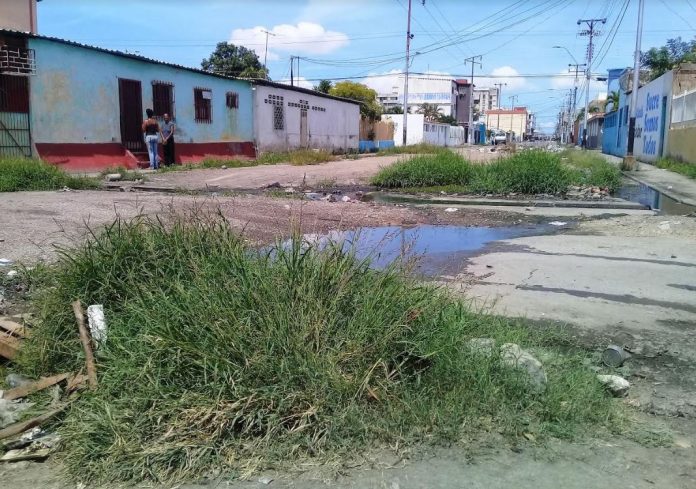 Los malos olores, la basura y maleza adornan la calle Miramar de Cumaná | Foto: Joanne González
